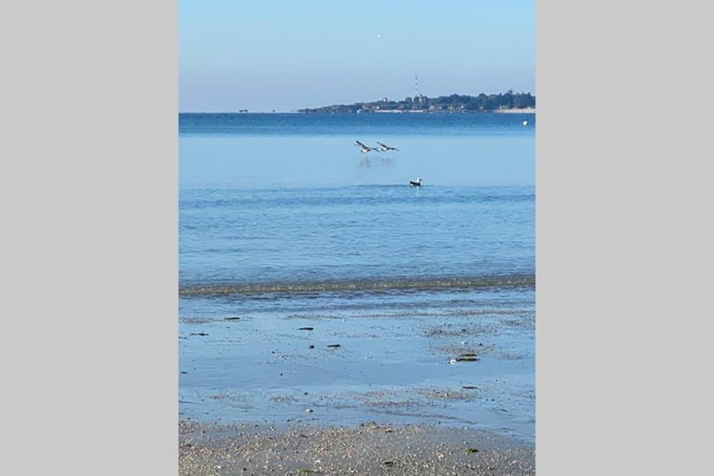 Appartamento Cap Coz Sea Side Fouesnant Esterno foto